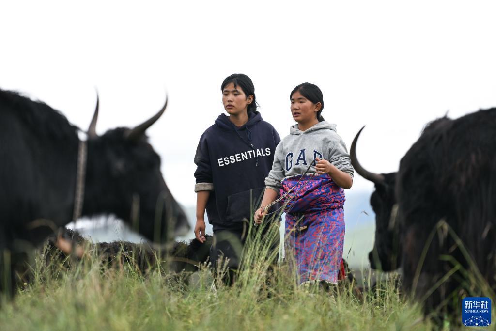 ag金拉霸800倍游戏论坛